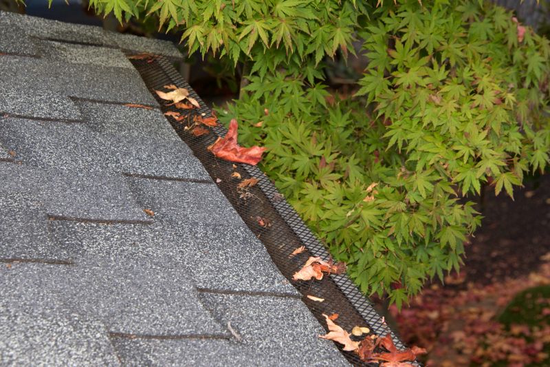 Professional Gutter Cap Installation